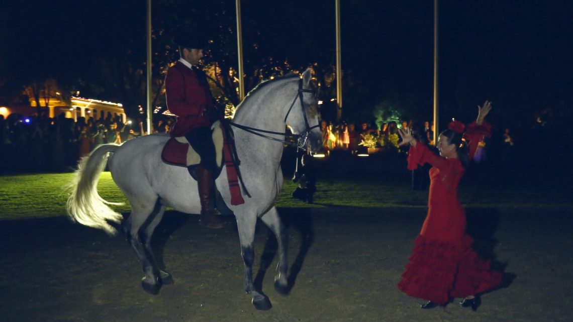 foto-video-de-boda-en-hacienda-montenmedio-vejer-cadiz-51