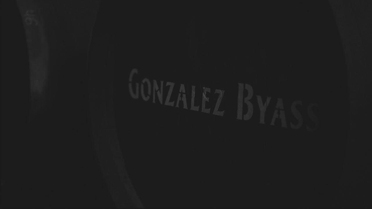 Boda González Byass Bodegas