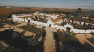 video-de-boda-en-hacienda-la-pintada-sevilla-2