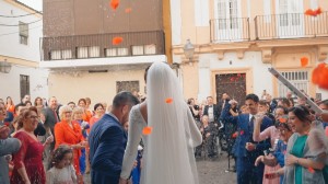 video-de-boda-bodegas-fundador-pedro-domecq-jerez-cadiz-34