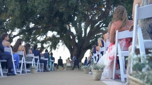 foto-video-de-boda-en-hacienda-montenmedio-vejer-cadiz-33