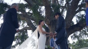 foto-video-de-boda-en-hacienda-montenmedio-vejer-cadiz-35